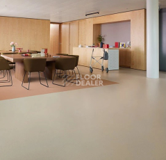 Forbo SureStep balance 173342 limestone фото 2 | FLOORDEALER